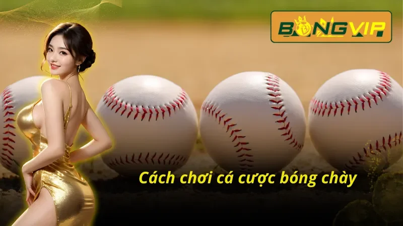 Cách chơi cá cược bóng chày Bongvip vô cùng hiệu quả