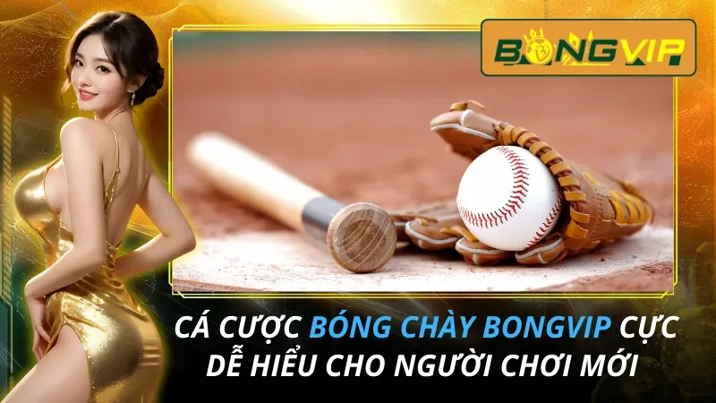 Cá Cược Bóng Chày Cực Dễ Hiểu Cho Người Chơi Mới Tại Bongvip 24 Cá Cược Bóng Chày Cực Dễ Hiểu Cho Người Chơi Mới Tại Bongvip 2026