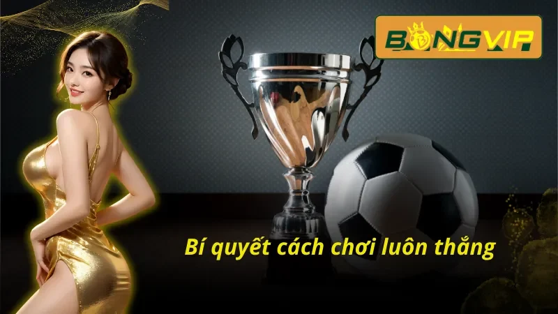Bí quyết chia sẻ từ các cao thủ của Bóng đá Bongvip