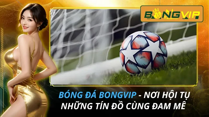 Bóng Đá - Nơi Hội Tụ Những Tín Đồ Bongvip Cùng Đam Mê 22 Bóng Đá