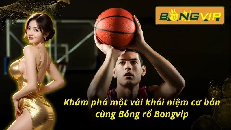 Bóng Rổ - Điểm Đến Của Đam Mê Cá Cược Bongvip 2 Khám phá một vài khái niệm cùng Bóng rổ Bongvip