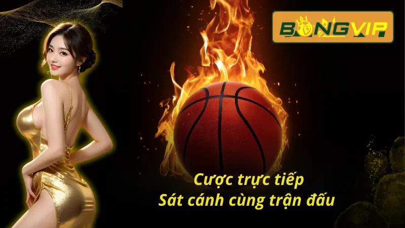 Bóng Rổ - Điểm Đến Của Đam Mê Cá Cược Bongvip 5 Bóng rổ Bongvip với hệ thống cá cược đẳng cấp