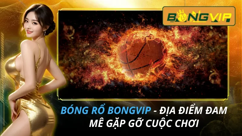 Bóng Rổ - Điểm Đến Của Đam Mê Cá Cược Bongvip 7 Bóng Rổ - Điểm Đến Của Đam Mê Cá Cược Bongvip Năm 2026
