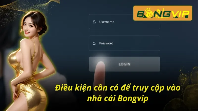 Cách đăng nhập tài khoản Bongvip - Điều cần cần đáp ứng
