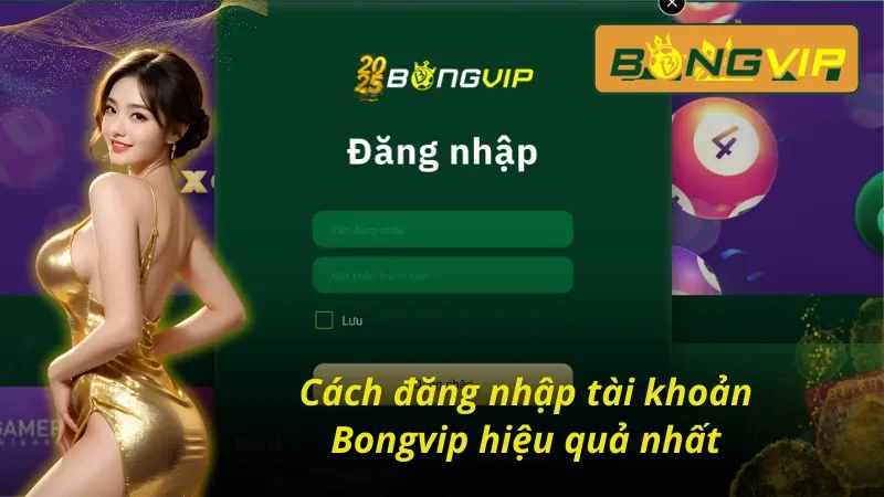 Cách đăng nhập tài khoản Bongvip tối ưu nhất