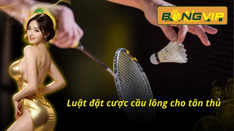 Loại Hình Cá Cược Cầu Lông Ấn Tượng Nhất Bongvip 2025 4 Những điều cần biết khi tham gia đặt cược cầu lông tại nhà cái Bongvip