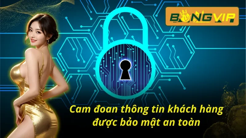 Chính sách bảo mật Bongvip cam đoan về thông tin của khách hàng