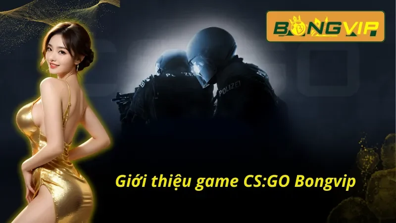 Tổng quan những thông tin thú vị về CS:GO Bongvip