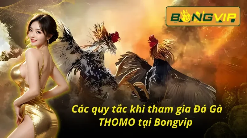 Bỏ Túi Các Hình Thức Đá Gà THOMO Đánh Bại Nhà Cái Tại Bongvip 3 Những quy tắc cần phải nắm được khi tham gia đá gà THOMO trực tuyến tại Bongvip