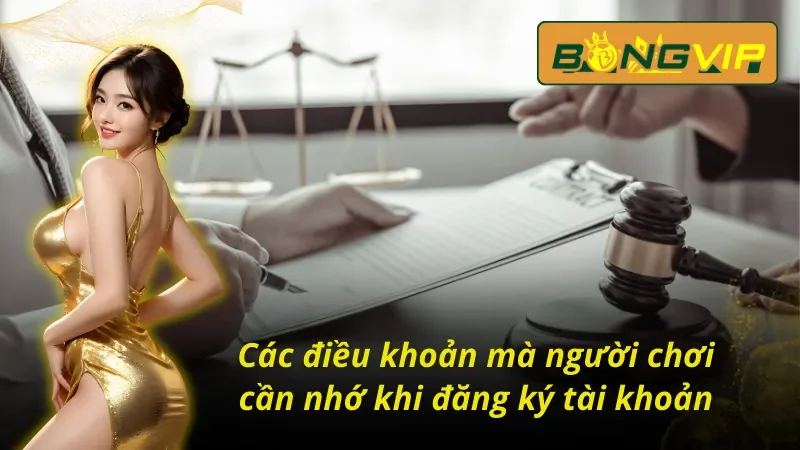 Các điều khoản và điều kiện Bongvip cần nhớ