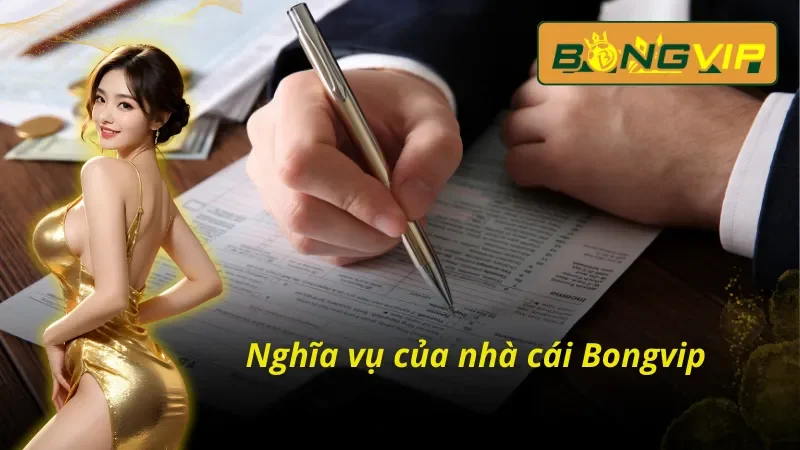 Nghĩa vụ của nhà cái về điều khoản và điều kiện