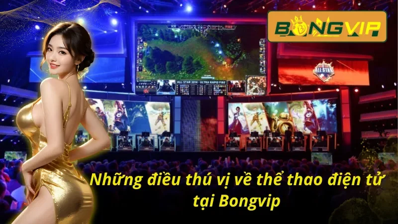 Betting Esports tại Bongvip - Thiên Đường Thể Thao Điện Tử 2 Những lý do cược thủ yêu thích Esports tại Bongvip