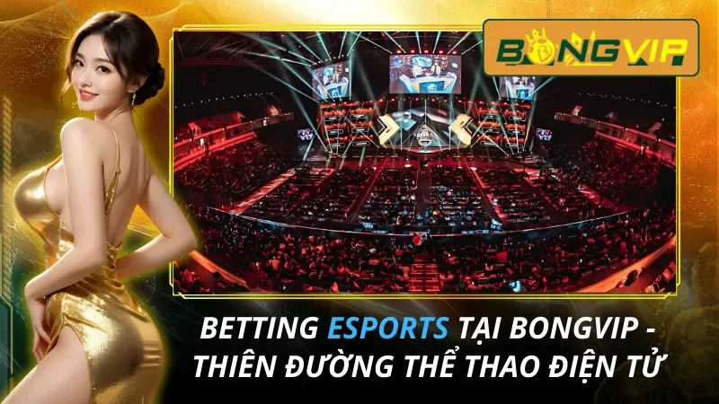 Betting Esports tại Bongvip - Thiên Đường Thể Thao Điện Tử 14 Esports