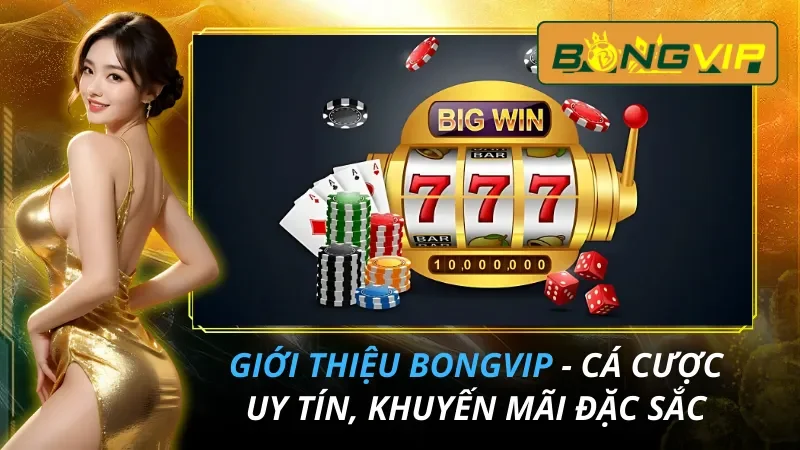 Giới Thiệu Bongvip - Cá Cược Uy Tín, Khuyến Mãi Đặc Sắc 3 Giới Thiệu Bongvip