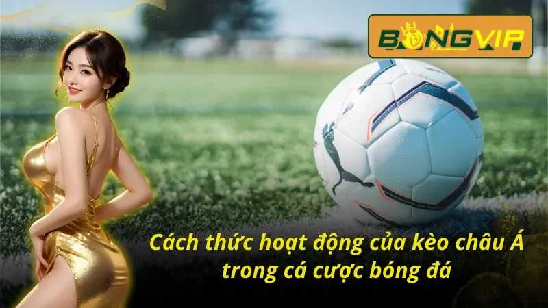 Kèo Châu Á - Lựa Chọn Số 1 Tại Nhà Cái Thể Thao Bongvip 2 Cách chơi kèo Châu Á Bongvip