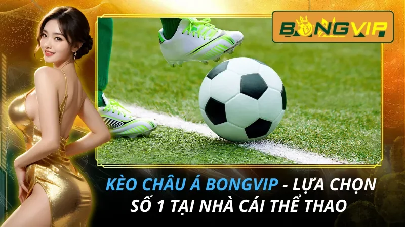 Kèo Châu Á - Lựa Chọn Số 1 Tại Nhà Cái Thể Thao Bongvip 13 Kèo Châu Á