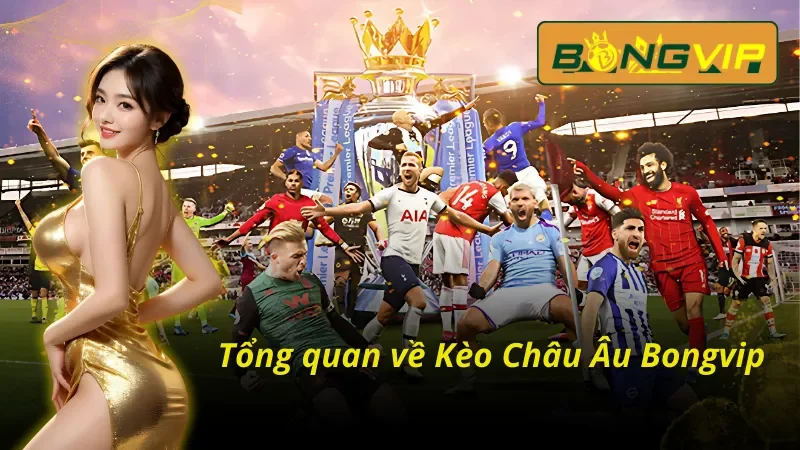 Giới thiệu tổng quan về kèo Châu Âu online tại Bongvip 