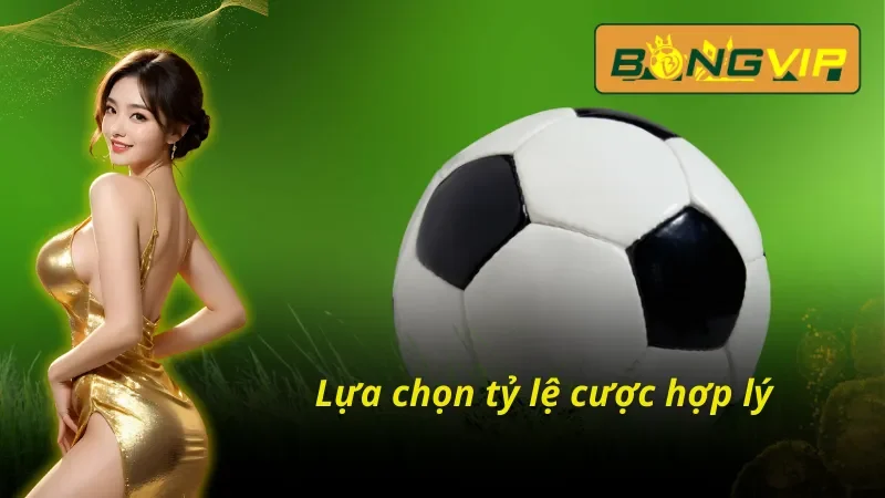 Kèo Hòa - Cơ Hội Kiếm Tiền Hiệu Quả Nhất Bongvip Hiện Nay 6 Hãy chọn cho mình mức cược phù hợp khi chọn kèo hoà tại Bongvip