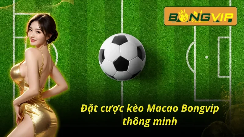 Cách Soi Kèo Macao Chuẩn Xác Cho AE Bongvip 2 Sơ lược về kèo Macao Bongvip