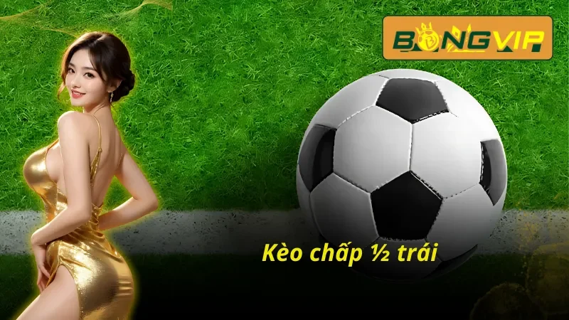 Cách Soi Kèo Macao Chuẩn Xác Cho AE Bongvip 4 Kèo chấp ½ trái hấp dẫn trong kèo macao Bongvip