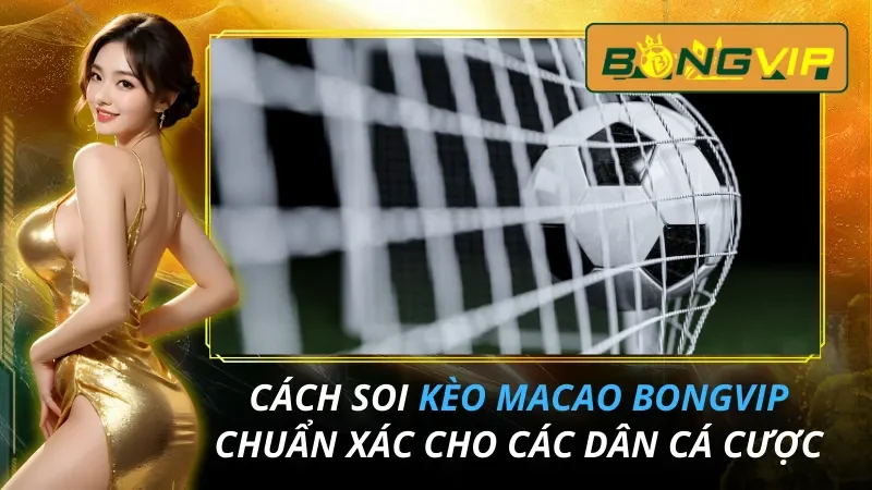 Cách Soi Kèo Macao Chuẩn Xác Cho AE Bongvip 20 Kèo Macao