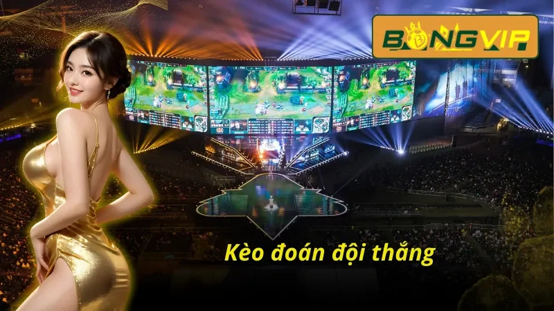 kèo dự đoán đội thắng tại Bóngvip