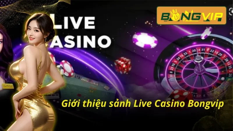 Live Casino – Tận Hưởng Không Khí Sòng Bạc Thực Thụ Tại Bongvip 2 Live Casino tại Bongvip và những thông tin đáng chú ý