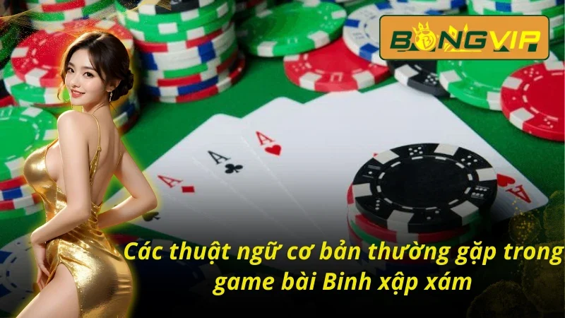 Thuật ngữ trong bài Mậu Binh Bongvip 