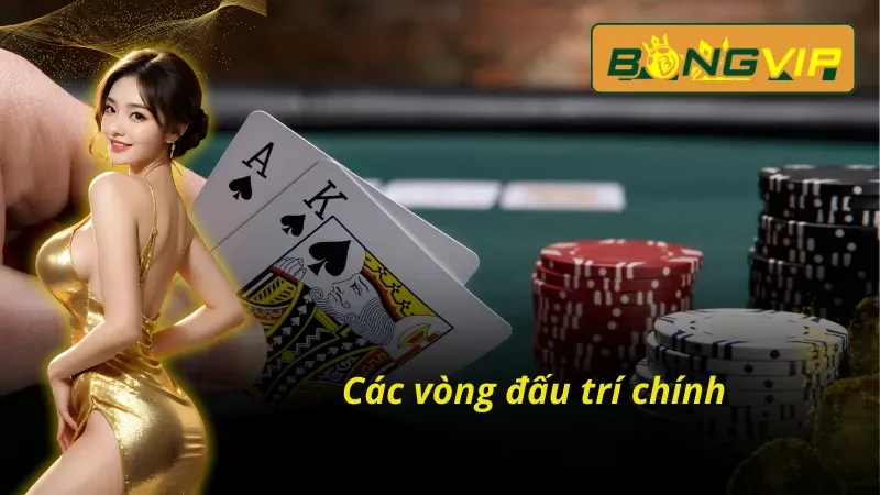 Tham Gia Đấu Trí Poker Phá Vỡ Giới Hạn Cùng Nhà Cái Bongvip 4 Chi tiết các vòng đấu Poker Bongvip cho bet thủ