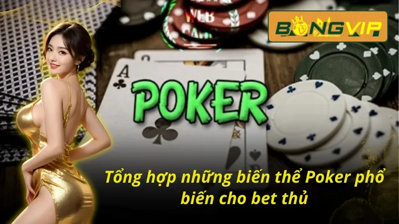 Tham Gia Đấu Trí Poker Phá Vỡ Giới Hạn Cùng Nhà Cái Bongvip 5 Các biến thể Poker ưa chuộng trong thời gian qua trên Bongvip