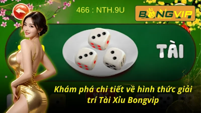 Tài Xỉu - Khuynh Đảo Mọi Bàn Cược Cùng Nhà Cái Bongvip 2 Tổng quan về hình thức tài xỉu Bongvip