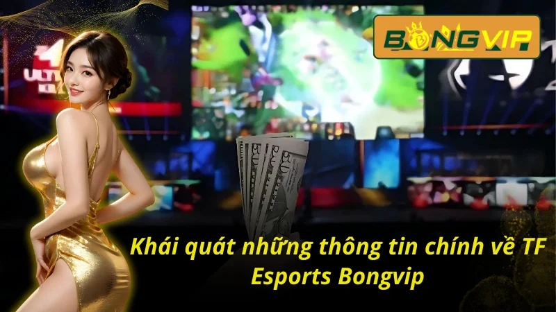 Sơ lược về thể thao điện tử tại sảnh TF Esports 