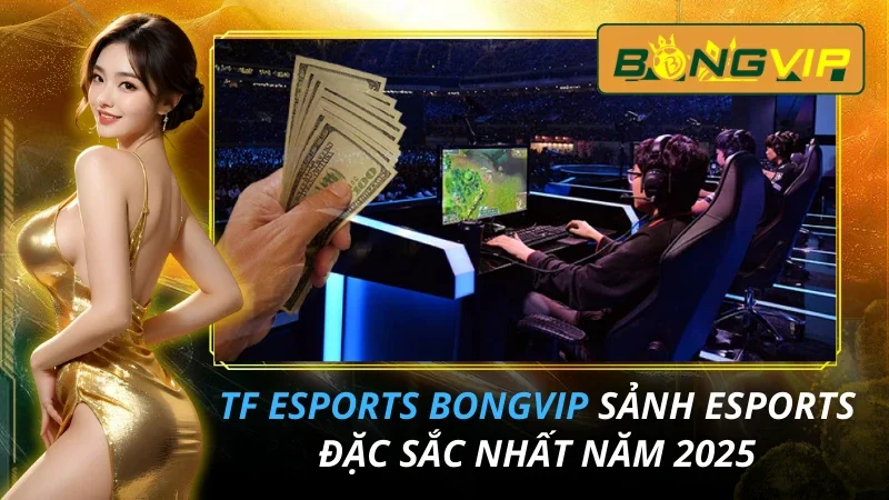 TF Esports - Sảnh Esports Đặc Sắc Nhất Bongvip 2026 14 TF Esports - Sảnh Esports Đặc Sắc Nhất Bongvip Năm 2026