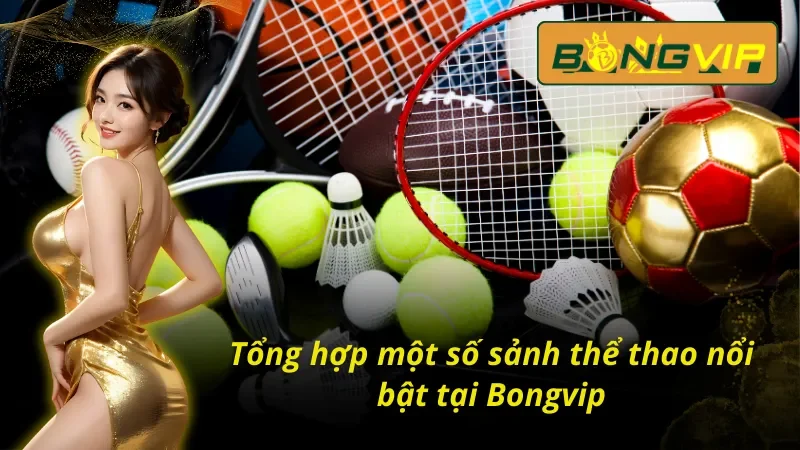 Một số sảnh thể thao Bongvip cung cấp hiện nay 