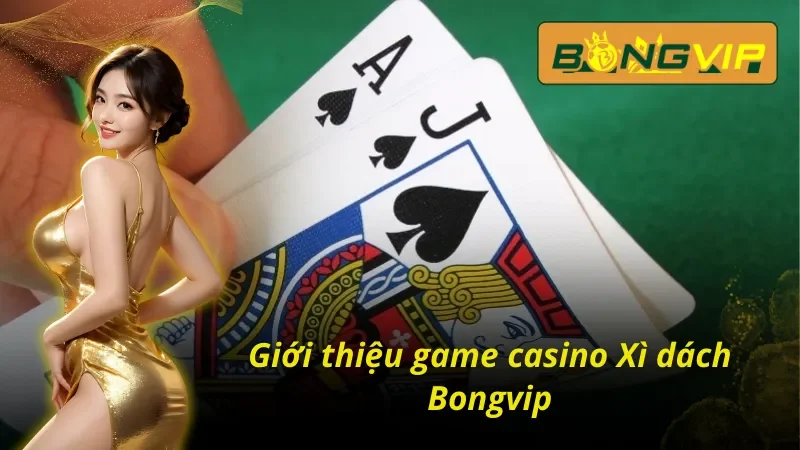 Xì Dách – Game Bài Tư Duy Thể Hiện Bản Lĩnh Của Bạn 2 Thông tin cơ bản về Xì dách tại Bongvip