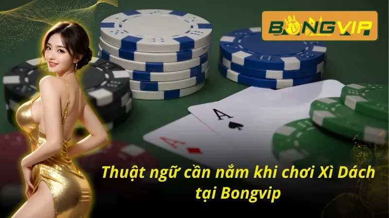 Xì Dách – Game Bài Tư Duy Thể Hiện Bản Lĩnh Của Bạn 4 Xì dách và những thuật ngữ cực kỳ quan trọng