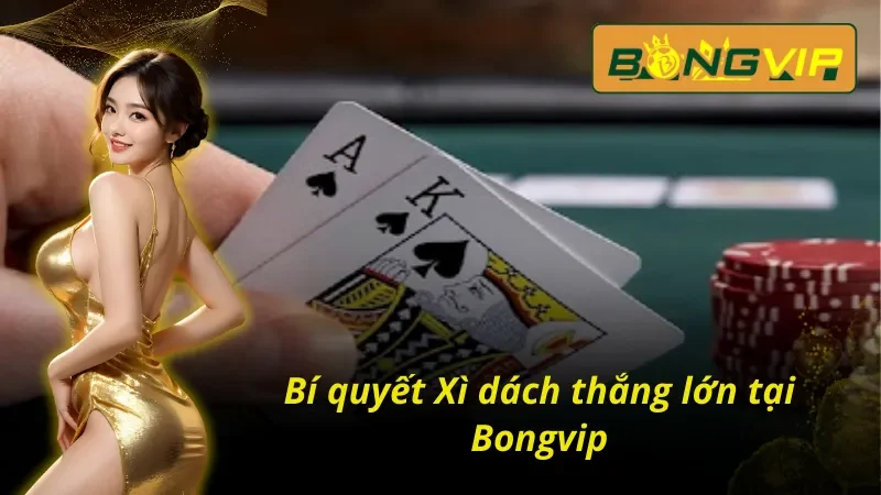 Xì Dách – Game Bài Tư Duy Thể Hiện Bản Lĩnh Của Bạn 5 Bí quyết chinh phục Xì dách tại Bongvip