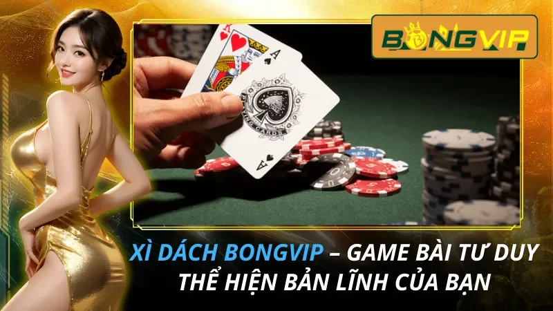 Xì Dách – Game Bài Tư Duy Hot Nhất 2026 Thể Hiện Bản Lĩnh Của Bạn